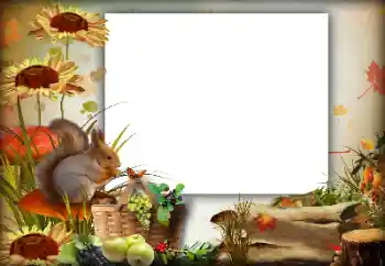 범주에서의 사진 효과 가을 № 142363