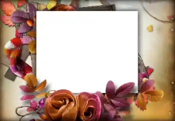 범주에서의 사진 효과 가을 № 142460