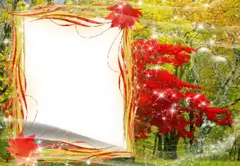 범주에서의 사진 효과 가을 № 143481