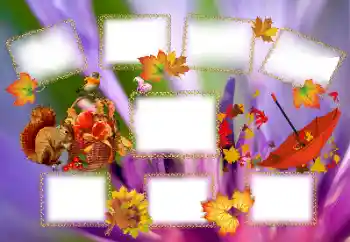 범주에서의 사진 효과 가을 № 143637 범주에서의 사진 효과 가을 № 143637