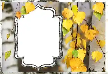 범주에서의 사진 효과 가을 № 144851 범주에서의 사진 효과 가을 № 144851