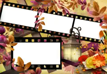 범주에서의 사진 효과 가을 № 144966 범주에서의 사진 효과 가을 № 144966