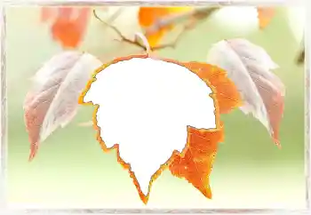 범주에서의 사진 효과 가을 № 145072 범주에서의 사진 효과 가을 № 145072