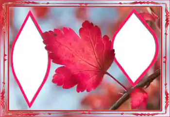 범주에서의 사진 효과 가을 № 145078 범주에서의 사진 효과 가을 № 145078