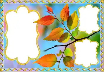 범주에서의 사진 효과 가을 № 145082