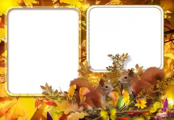 범주에서의 사진 효과 가을 № 154567