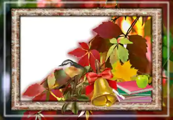 범주에서의 사진 효과 가을 № 157063