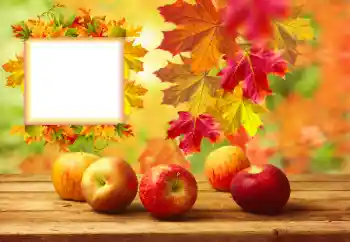 범주에서의 사진 효과 가을 № 157134