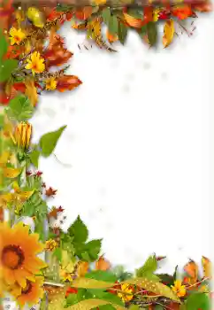 범주에서의 사진 효과 가을 № 157238