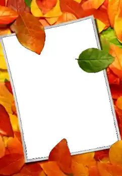 범주에서의 사진 효과 가을 № 159508