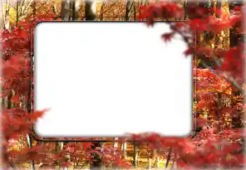 범주에서의 사진 효과 가을 № 160546 범주에서의 사진 효과 가을 № 160546