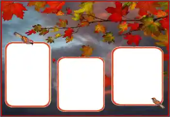 범주에서의 사진 효과 가을 № 162013