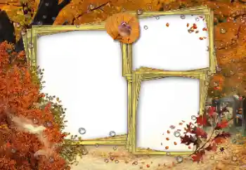 범주에서의 사진 효과 가을 № 162180