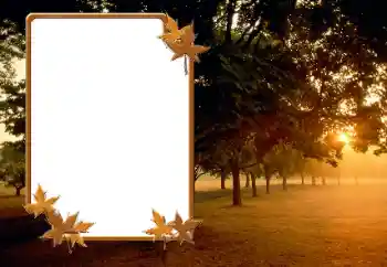 범주에서의 사진 효과 가을 № 166423