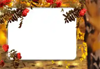 범주에서의 사진 효과 가을 № 166546