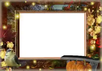 범주에서의 사진 효과 가을 № 167992