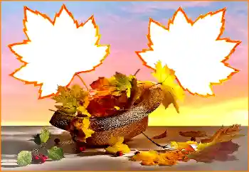 범주에서의 사진 효과 가을 № 170391