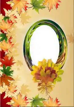 범주에서의 사진 효과 가을 № 170525