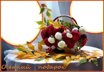 프레임에 비문: Autumn