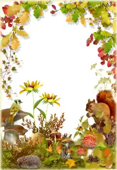 범주에서의 사진 효과 가을 № 174322