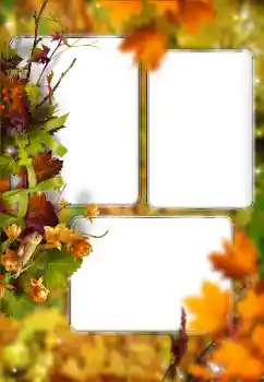 범주에서의 사진 효과 가을 № 176614 범주에서의 사진 효과 가을 № 176614