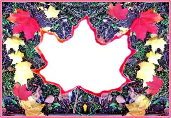 범주에서의 사진 효과 가을 № 190569