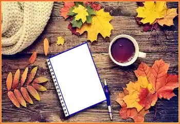 범주에서의 사진 효과 가을 № 190571