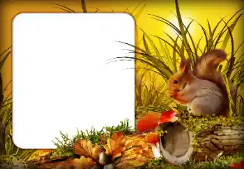 범주에서의 사진 효과 가을 № 190592