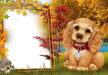 범주에서의 사진 효과 가을 № 190594