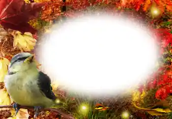 범주에서의 사진 효과 가을 № 191761 범주에서의 사진 효과 가을 № 191761