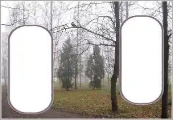 범주에서의 사진 효과 가을 № 191770 범주에서의 사진 효과 가을 № 191770