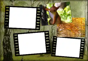 범주에서의 사진 효과 가을 № 192848 범주에서의 사진 효과 가을 № 192848