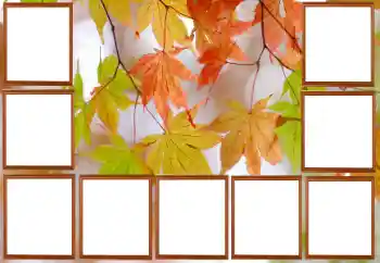 범주에서의 사진 효과 가을 № 195267