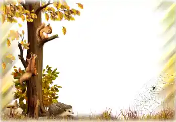 범주에서의 사진 효과 가을 № 196642