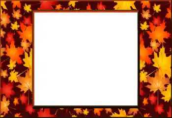 범주에서의 사진 효과 가을 № 198908