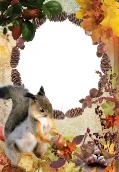 범주에서의 사진 효과 가을 № 2011 범주에서의 사진 효과 가을 № 2011