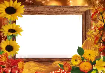 범주에서의 사진 효과 가을 № 2013 범주에서의 사진 효과 가을 № 2013