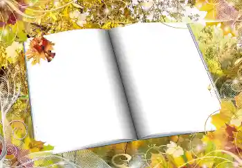 범주에서의 사진 효과 가을 № 2016 범주에서의 사진 효과 가을 № 2016