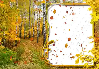 범주에서의 사진 효과 가을 № 2029 범주에서의 사진 효과 가을 № 2029