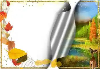 범주에서의 사진 효과 가을 № 2030