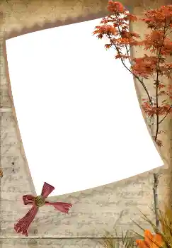 범주에서의 사진 효과 가을 № 3219