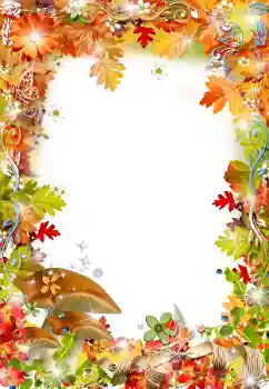 범주에서의 사진 효과 가을 № 32829