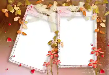 범주에서의 사진 효과 가을 № 33988