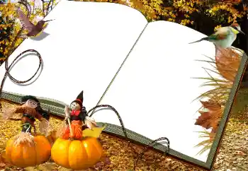 범주에서의 사진 효과 가을 № 34030