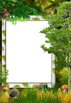 범주에서의 사진 효과 가을 № 34731 범주에서의 사진 효과 가을 № 34731