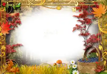 범주에서의 사진 효과 가을 № 34761 범주에서의 사진 효과 가을 № 34761