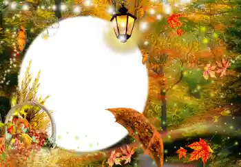 범주에서의 사진 효과 가을 № 35073 범주에서의 사진 효과 가을 № 35073