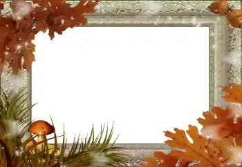 범주에서의 사진 효과 가을 № 59045 범주에서의 사진 효과 가을 № 59045