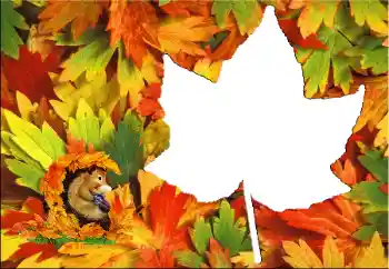 범주에서의 사진 효과 가을 № 60345 범주에서의 사진 효과 가을 № 60345