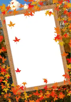 범주에서의 사진 효과 가을 № 68614 범주에서의 사진 효과 가을 № 68614